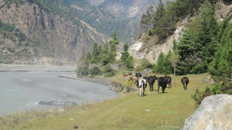 Trekking entlang des Kali Ghandaki im Annapurna